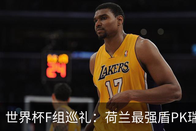 世界杯F组巡礼：荷兰最强盾PK瑞典犀利刀 日本短板明显